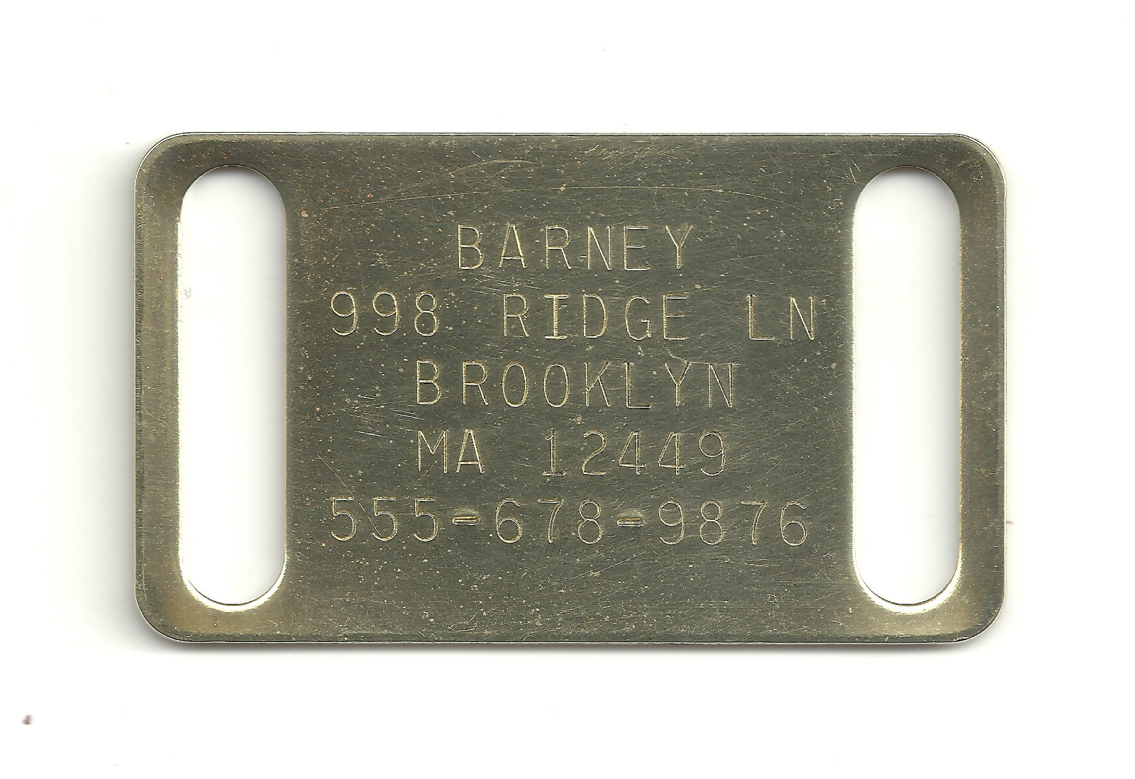 Large Solid Brass fits 1″ Collar Slide Safe Quiet Dog Pet ID Tag
