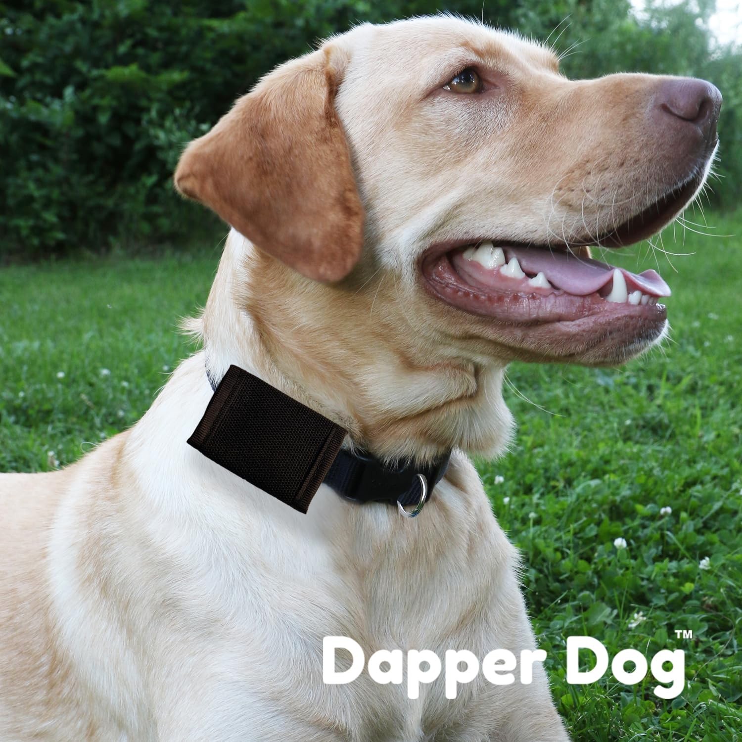 Black Dapper Dog Pet Tag Silencer Ballistic Nylon Quiet Collar Accessories