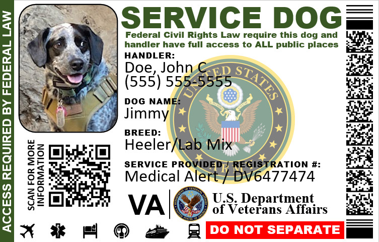 SERVICE DOG ID MILITARY VETERAN PLASTIC PVC SINGLE SIDE YOU CHOOSE SERVICE LOGO