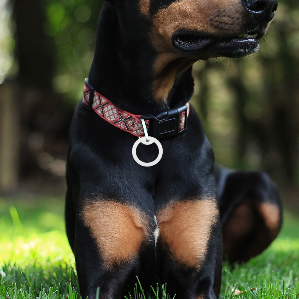 6 Pcs Noise Dampening Tag Sleeve Dog Collar Accessories Silicone