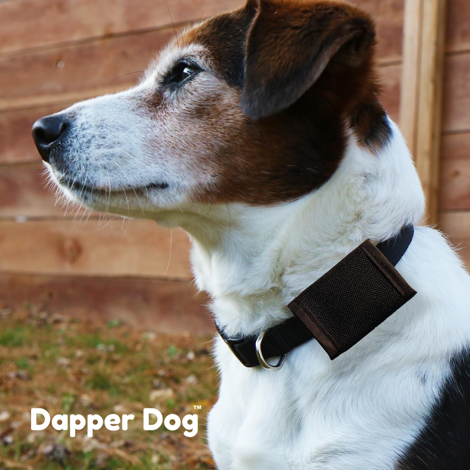 Black Dapper Dog Pet Tag Silencer Ballistic Nylon Quiet Collar Accessories