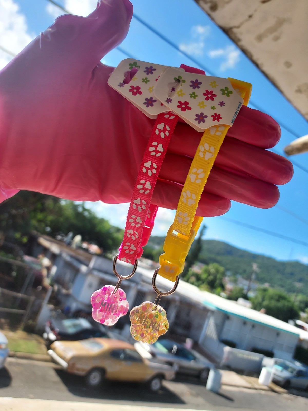 Collar personalizado para mascotas glitter