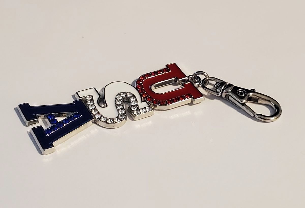 USA CHARM AMERICAN PATRIOTIC ZIPPER PULL BAG ACCESSORY DOG CAT COLLAR MILITARY