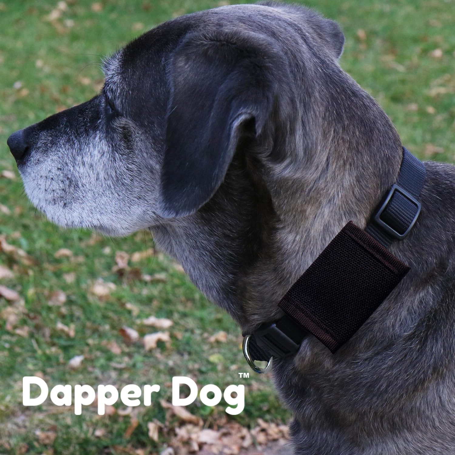 Black Dapper Dog Pet Tag Silencer Ballistic Nylon Quiet Collar Accessories