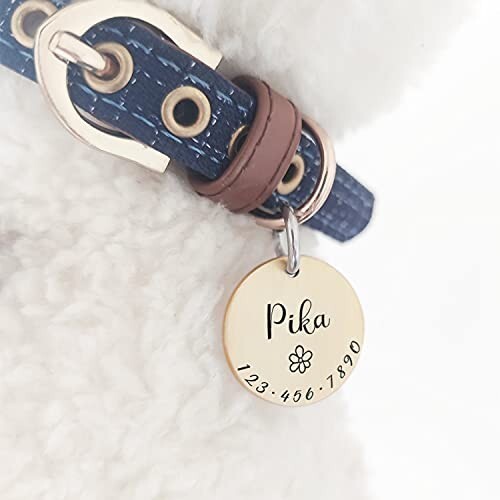 Cats Dogs ID Tags Personalized Lovely Symbols Pets Collar Name Accessories