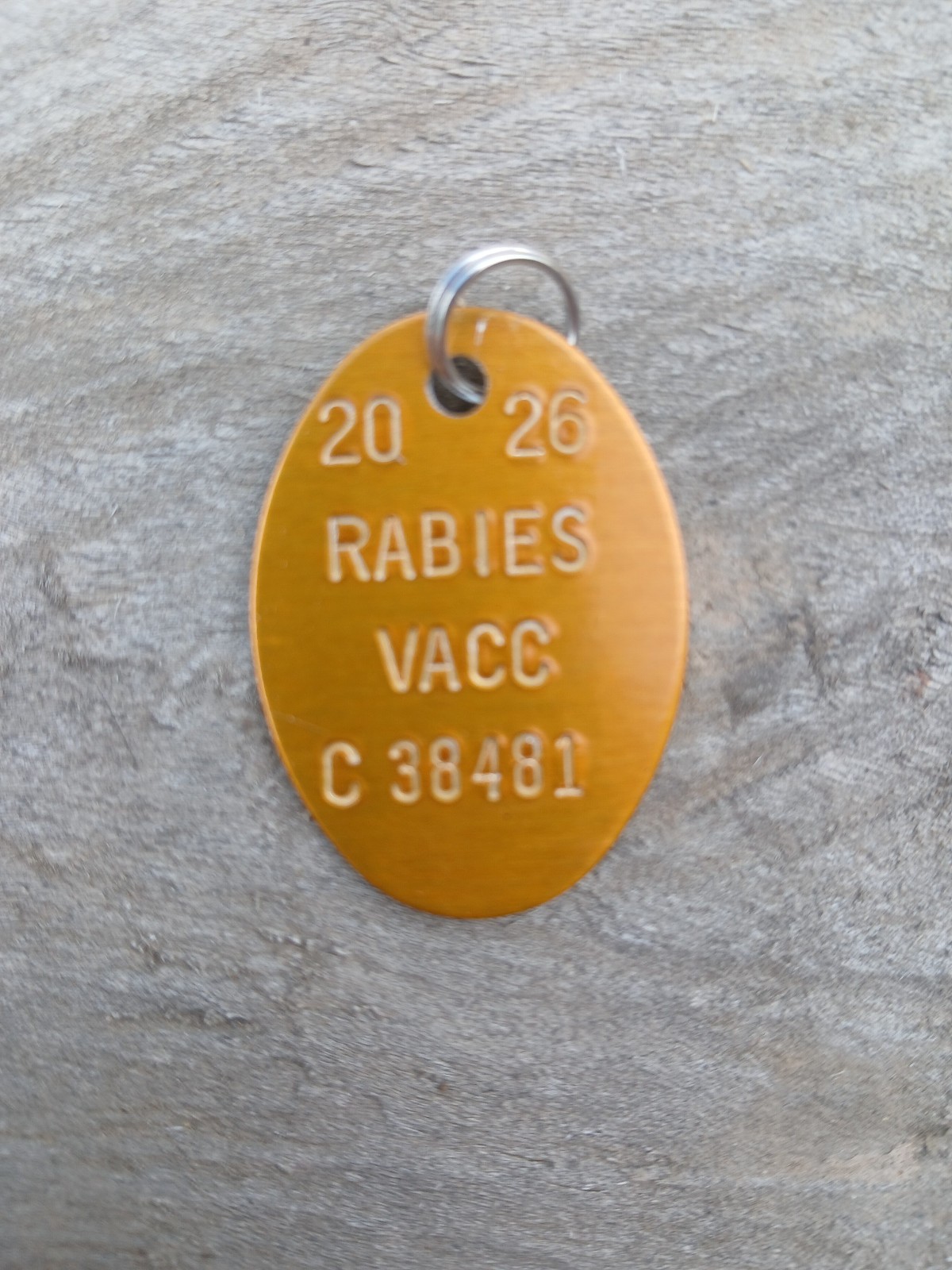 1 Rabies Vaccination Tag (Dog or Cat) with ring – 2026