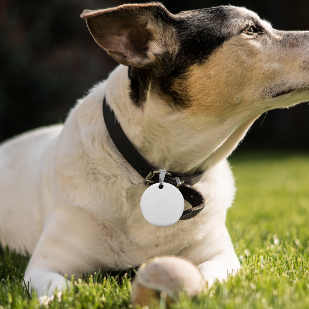 10pcs Blank Pet ID Tags Metal Round Dog Tags Titanium Steel Metal Dog Identity