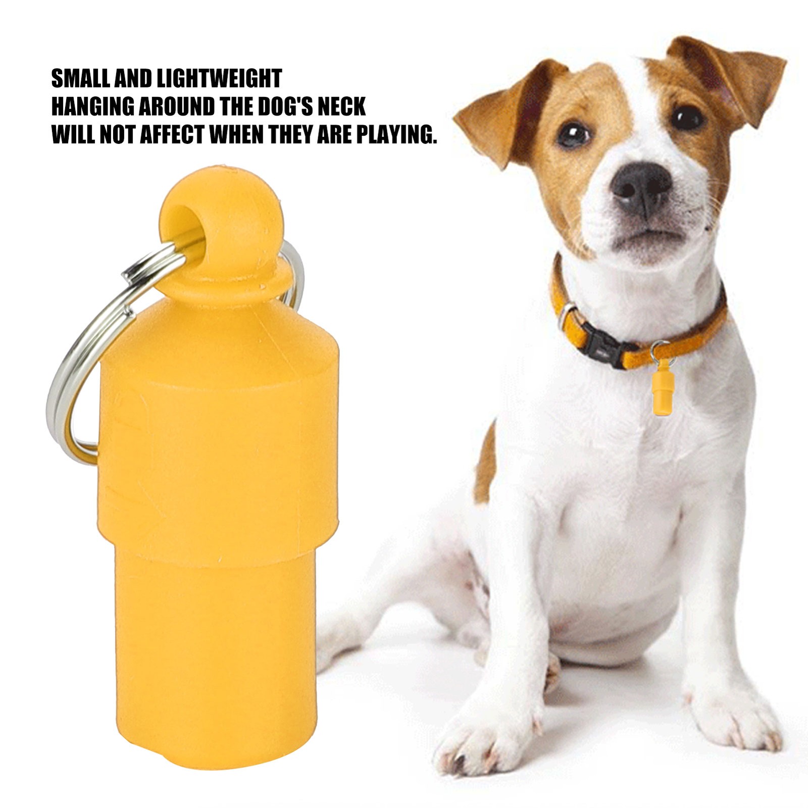 20pcs AntiLost Pet Tag Dog Cat ID Name Address Label Storage Barrel Tube Collar❀
