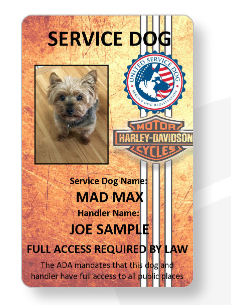 Harley Davidson Service Dog/Emotional support/Therapy Dog ID card