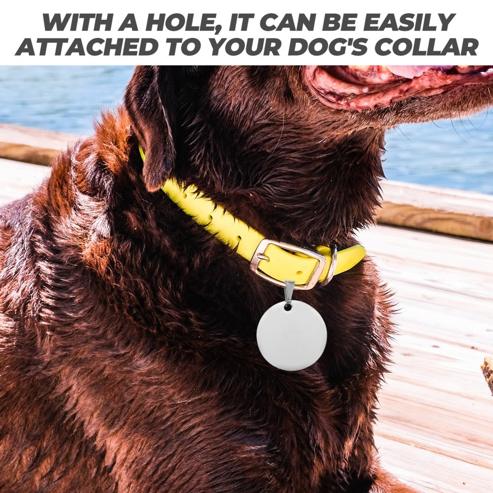 10Pcs Titanium Steel Blank Pet Id Tags Silver Round Metal Dog Tags