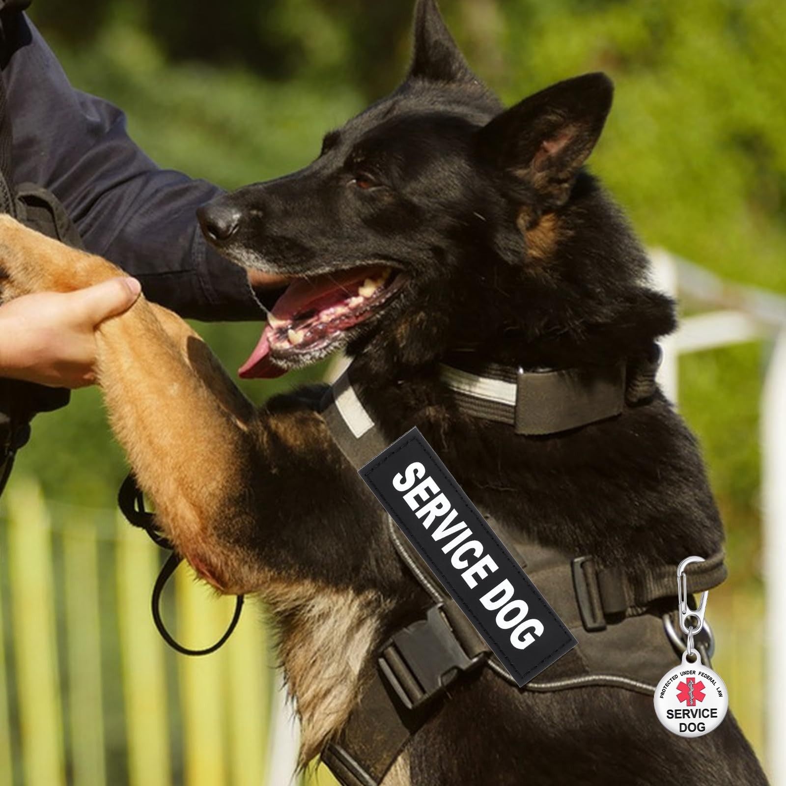 2 PCS Service Dog Patches ID Tags Removable Black Vest Training Collar Fix