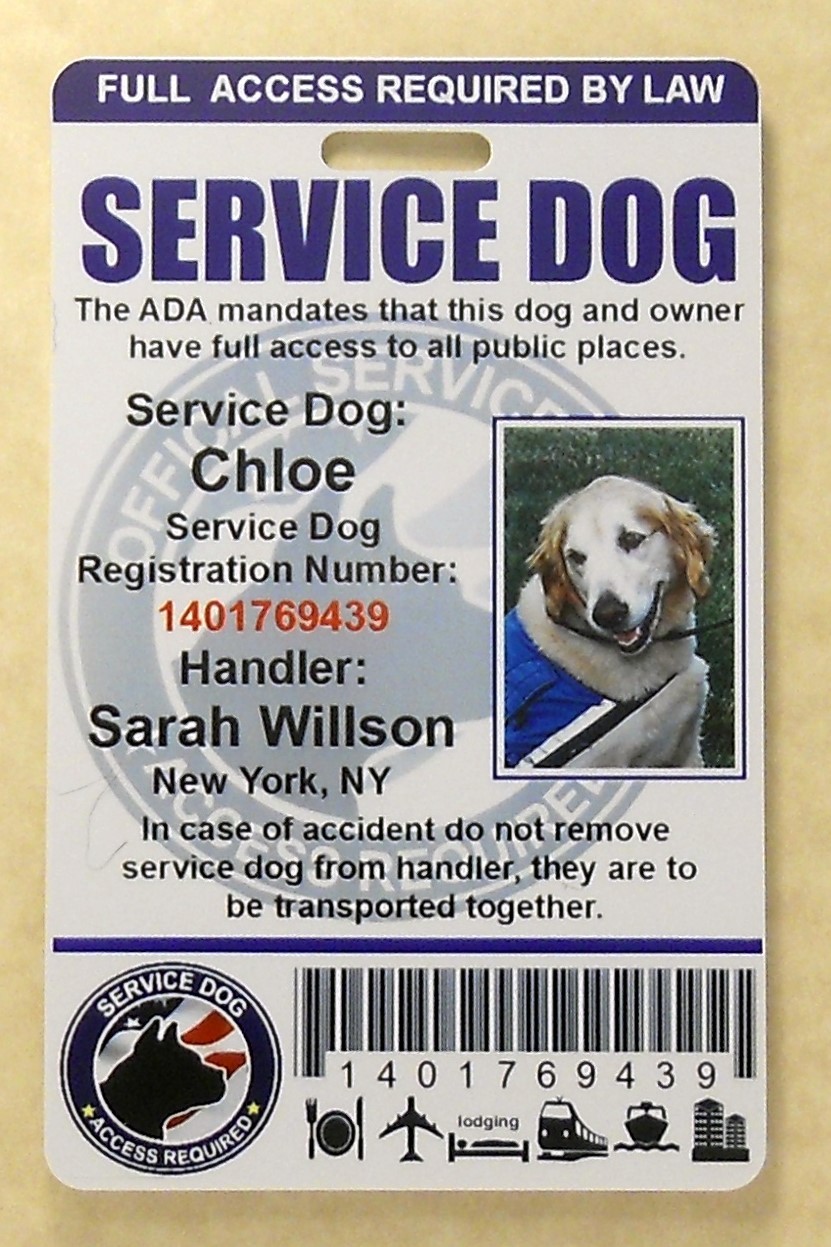 SERVICE DOG ID CARD FOR SERVICE ANIMAL PROFESSIONAL ADA RATED 0