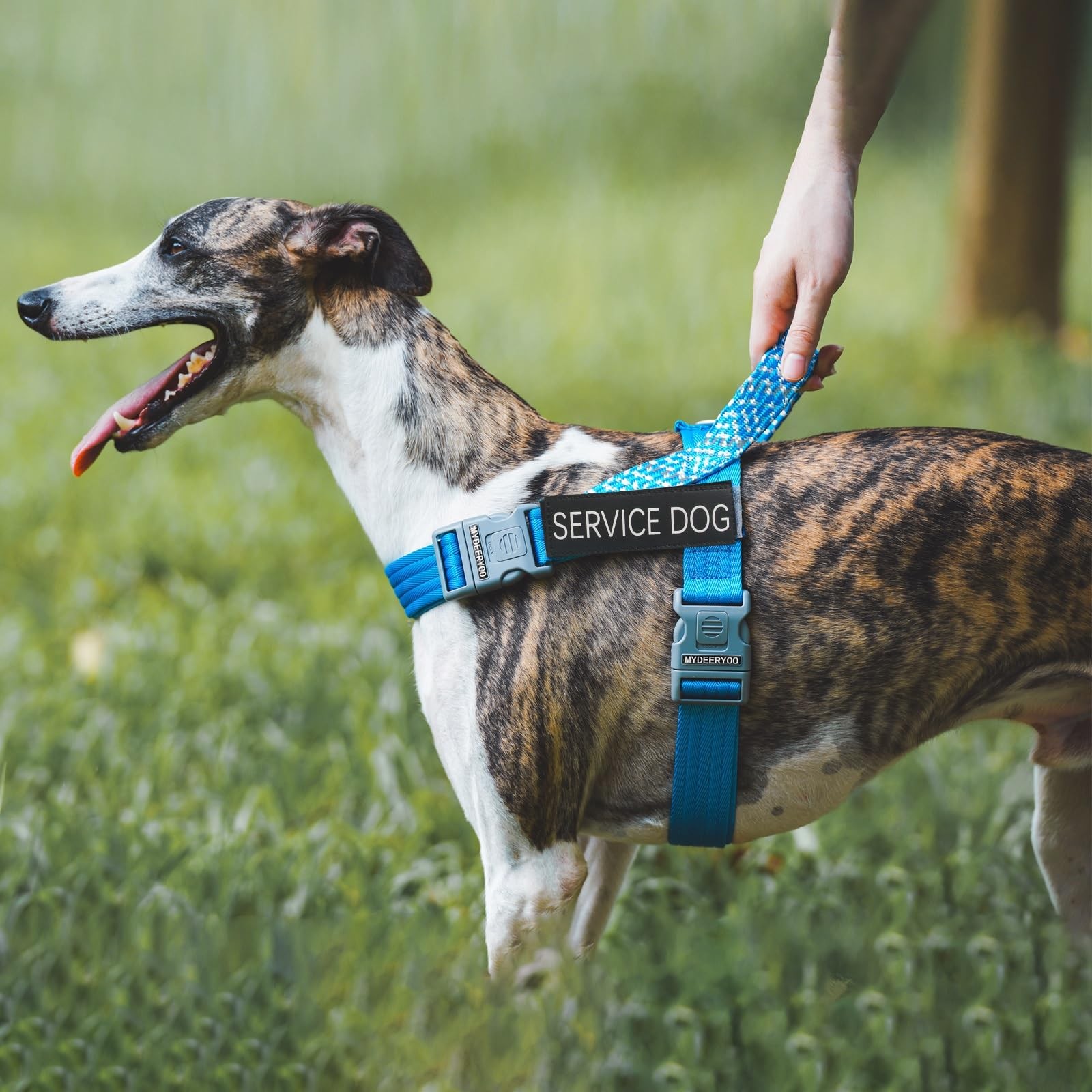 Emotional Support Animal Patches ESA Dog ID Tag Collar Harness Large 1.5×5.12