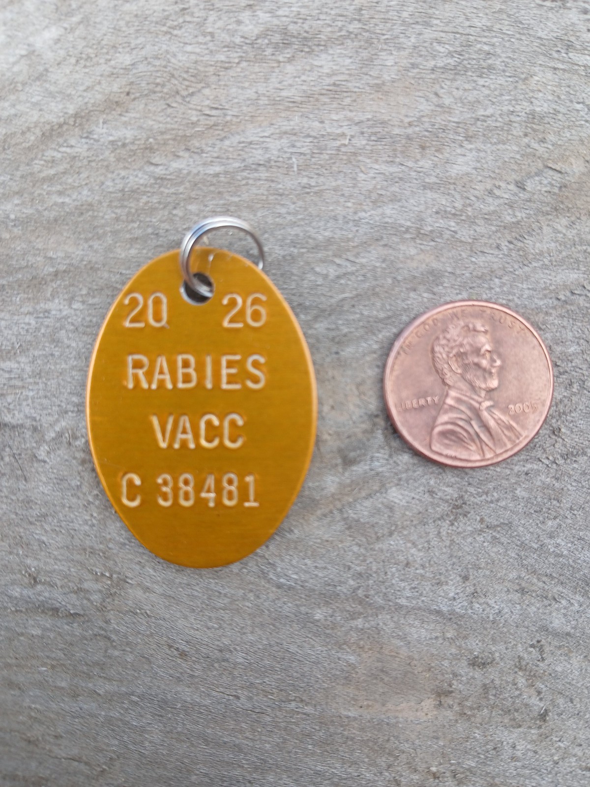 1 Rabies Vaccination Tag (Dog or Cat) with ring – 2026