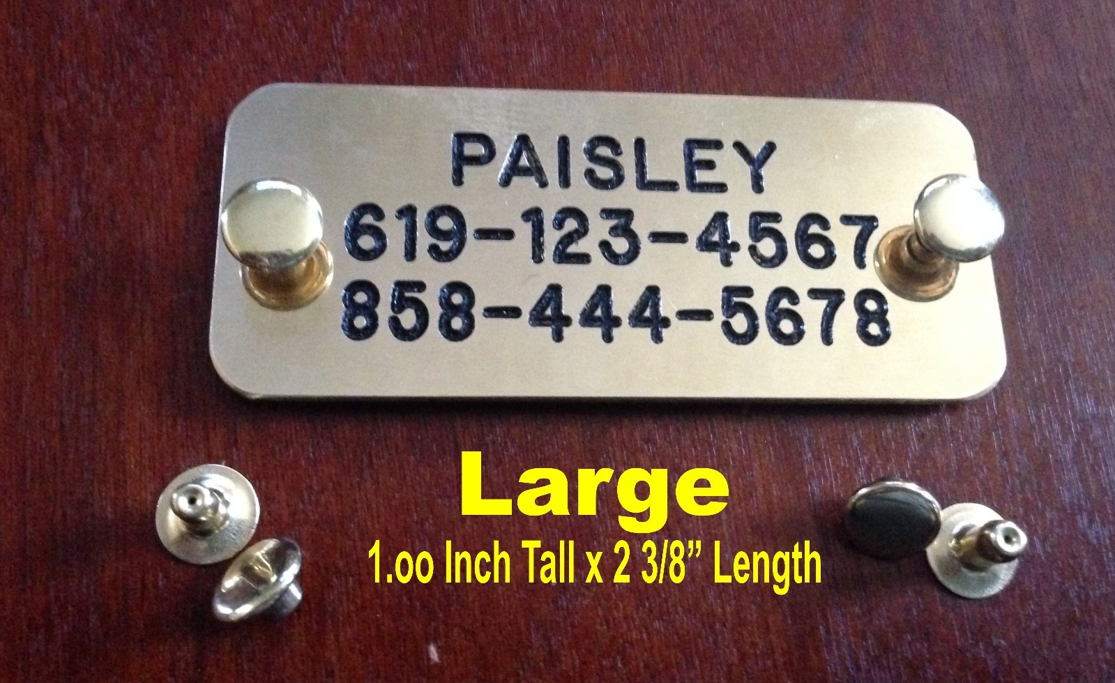 SOLID BRASS (Gold) TAG NAME PLATE FOR DOG COLLAR SET OF RIVET CUSTOM PERSONALIZ