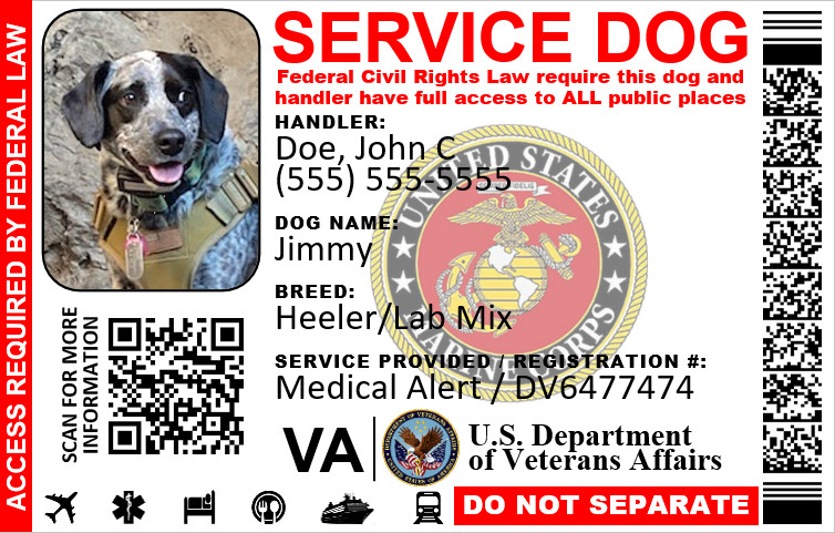 SERVICE DOG ID MILITARY VETERAN PLASTIC PVC SINGLE SIDE YOU CHOOSE SERVICE LOGO